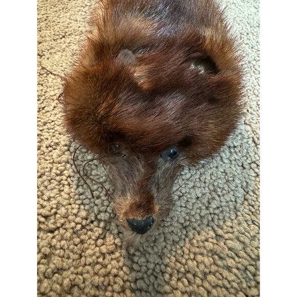 TANNED MINK PELT 29” Scarf Drape Stole Wrap Collar Natural Leather Taxidermy - Picture 5 of 16